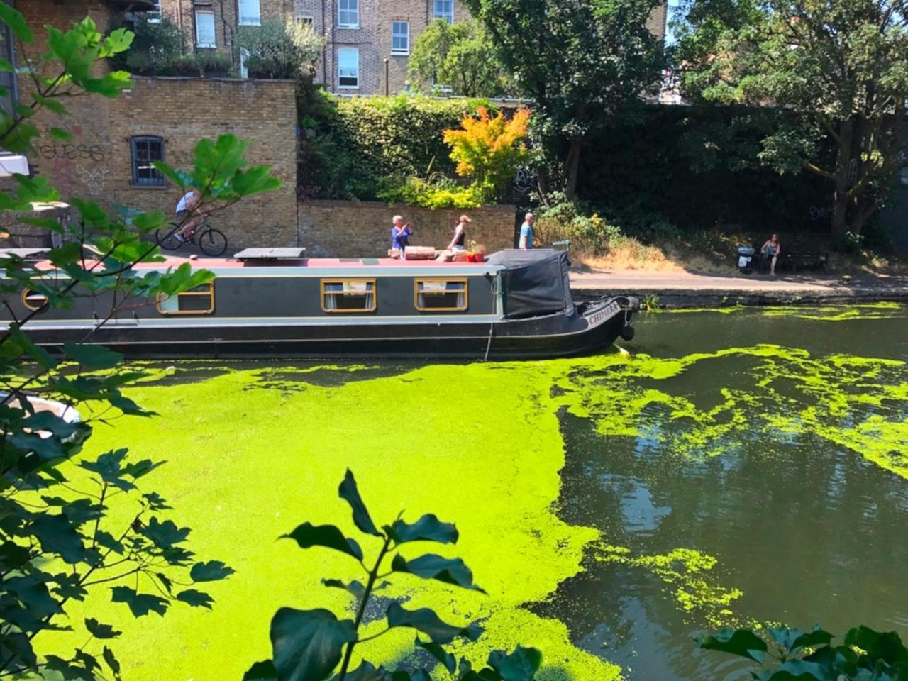 Urban Oasis With Views In Old St Daire Londra Dış mekan fotoğraf